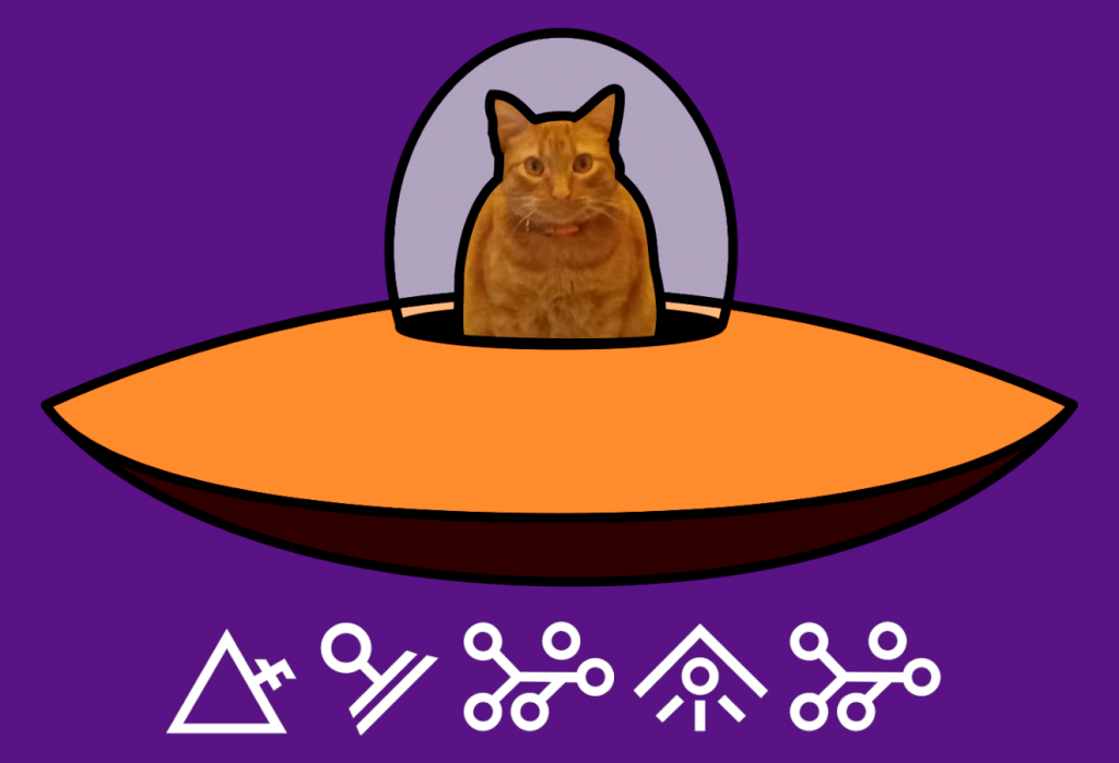 CHIMI - MY CAT IN AN UFO