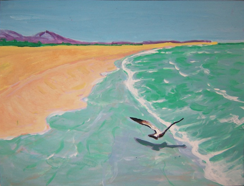 gAVIOTA san José del Cabo Baja california Sur Xavier Carrera video gnesis ADÁN
