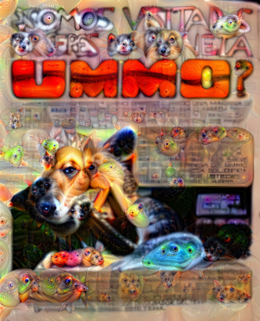 CASO UMMO