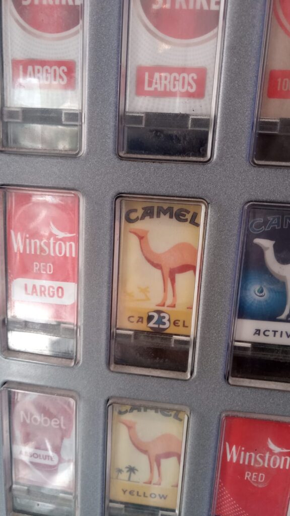 Camel 23 1