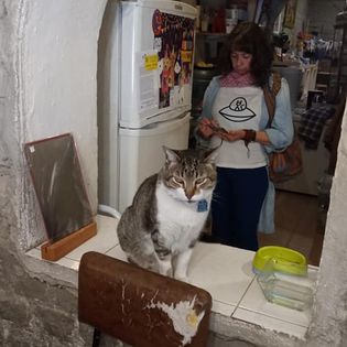 edna aponte camiseta playera gato alien