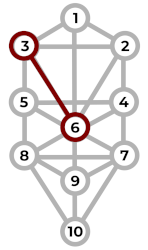 6 ARBOL DE LA VIDA TAROT ADAN